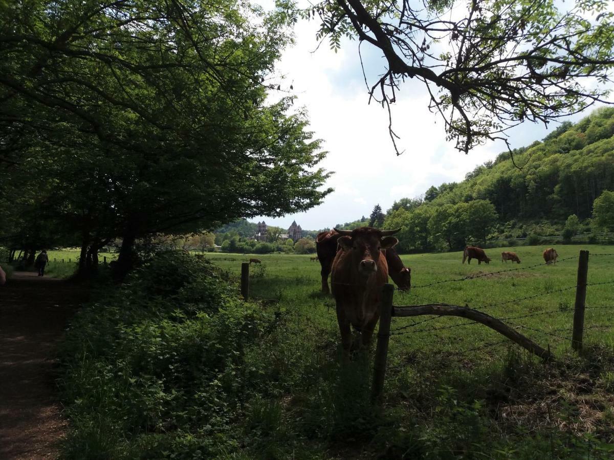 豪斯梅尔住宿加早餐旅馆 埃特灵恩 外观 照片
